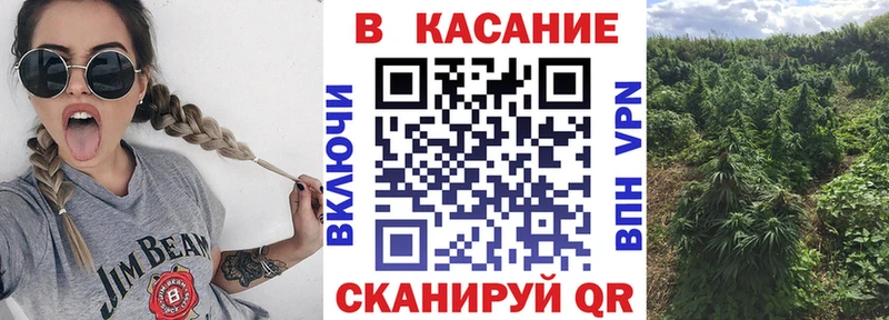 Купить закладку COCAIN  Бошки Шишки  Меф мяу мяу  СОЛЬ  Псилоцибиновые грибы  ГАШИШ  Бежецк